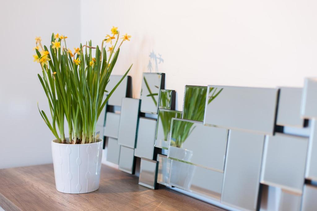 d'Castro Luxury Apartments - Alfama room 2